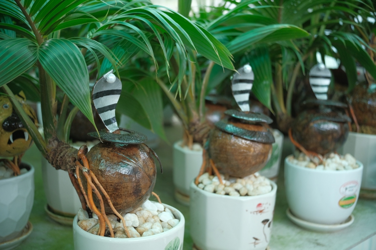 Ho Chi Minh City man crafts coconut bonsai with snake sculptures to celebrate Tet