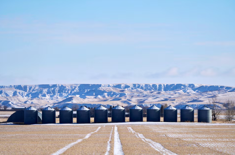 Drought leaves Canadian farmers unpaid, reveals holes in safety net