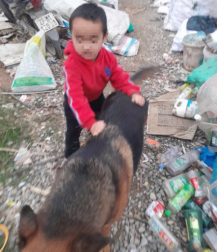 Dog protects 5-year-old boy who went missing overnight in northern Vietnam