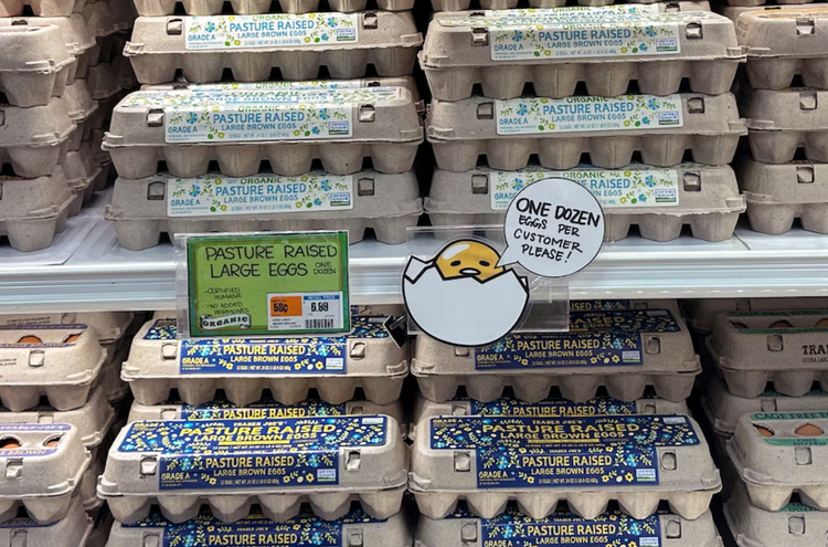 Turkey to export 15,000 tonnes of eggs to US to ease bird flu disruptions
