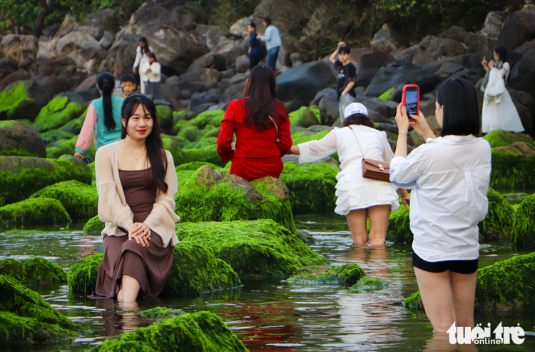 Da Nang’s green moss beach: A springtime marvel for visitors