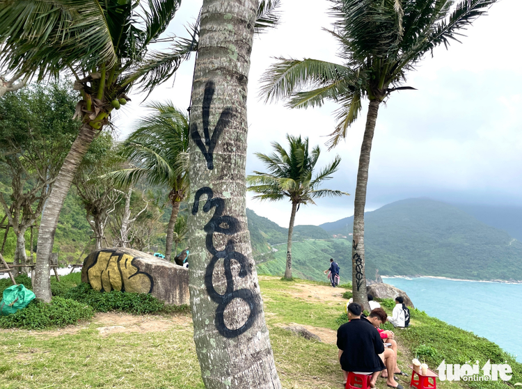 Tourists outraged by vandalism on Da Nang’s Son Tra Peninsula