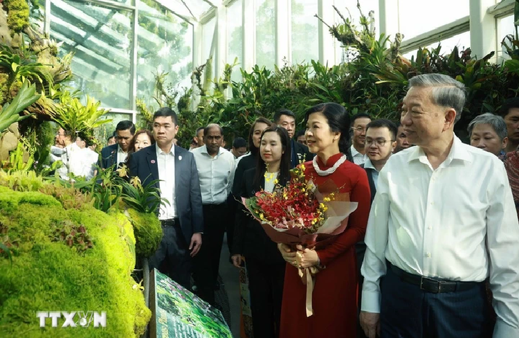 Singaporean orchid species named after Vietnamese Party chief, spouse