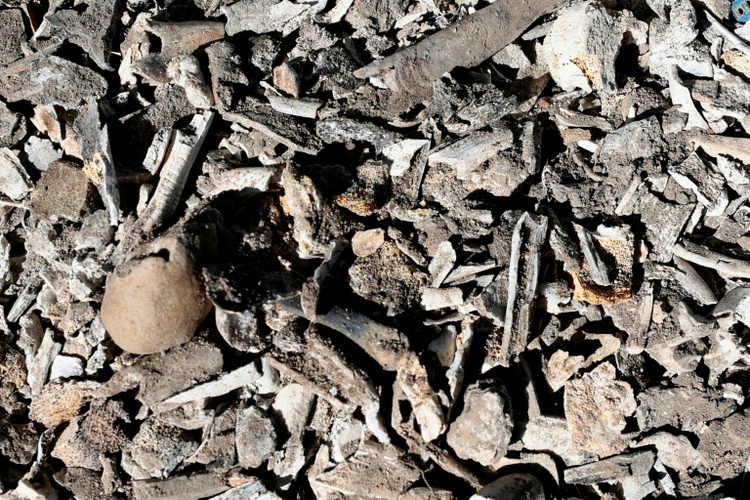 Mexicans seek answers after bones, shoes found at cartel camp