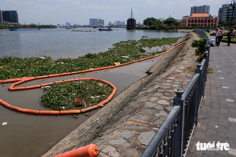 Ho Chi Minh City proposes Saigon River cleanup for tourism boost