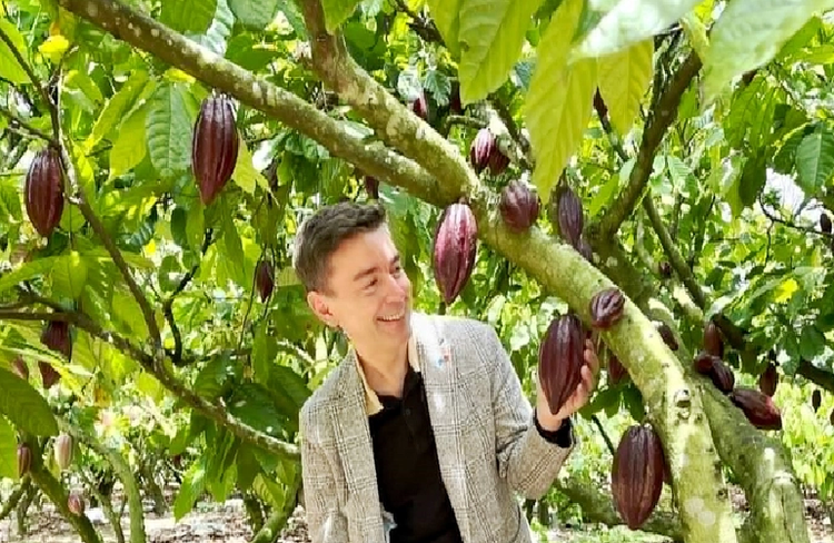 Vietnam's cocoa industry revives thanks to EU’s support in applying circular economy
