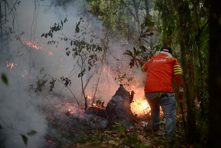 In northern Mexico, a van accident kills 12 people and sparks forest fire