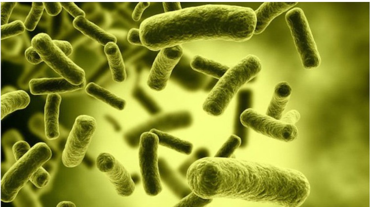 Vietnamese man hospitalized with botulinum poisoning after eating canned pâté