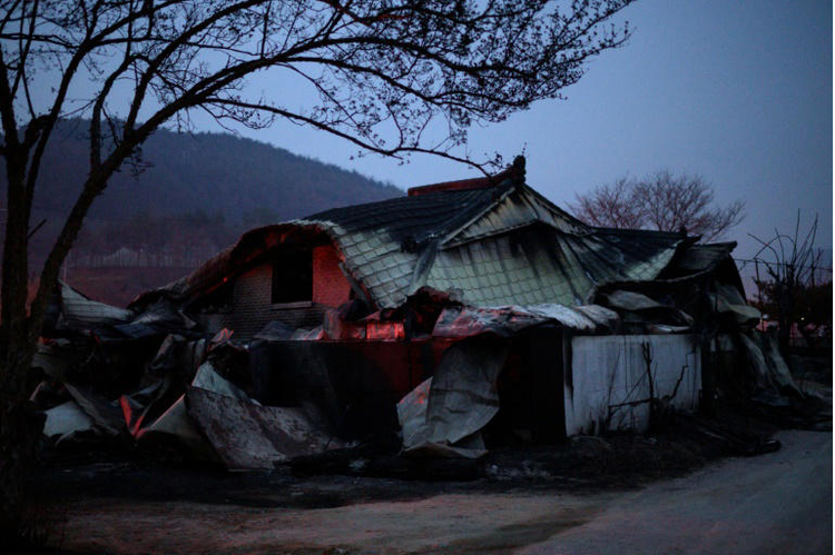 Rain gives some respite to South Korea firefighters as death toll rises