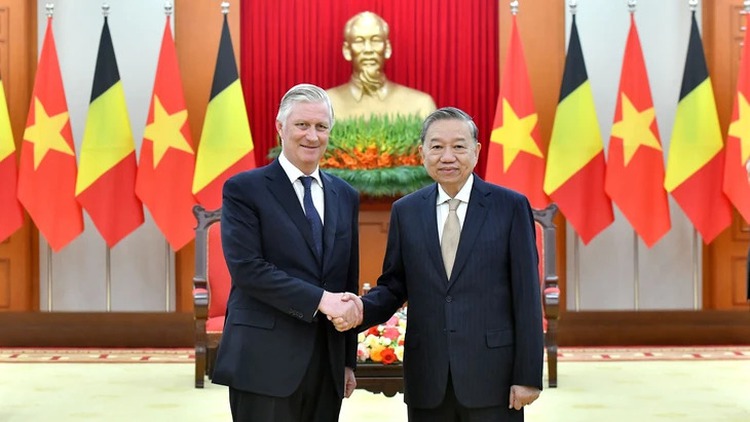 Belgium to strengthen all-round ties with Vietnam, ratify EVIPA: King Philippe
