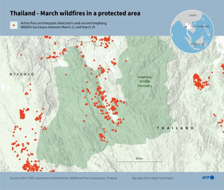 'It's gone': conservation science in Thailand's burning forest