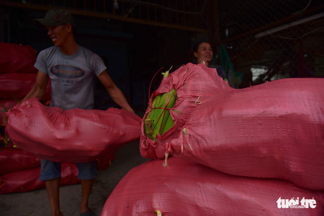 The market is constantly frequented by a number of wholesale corn buyers.