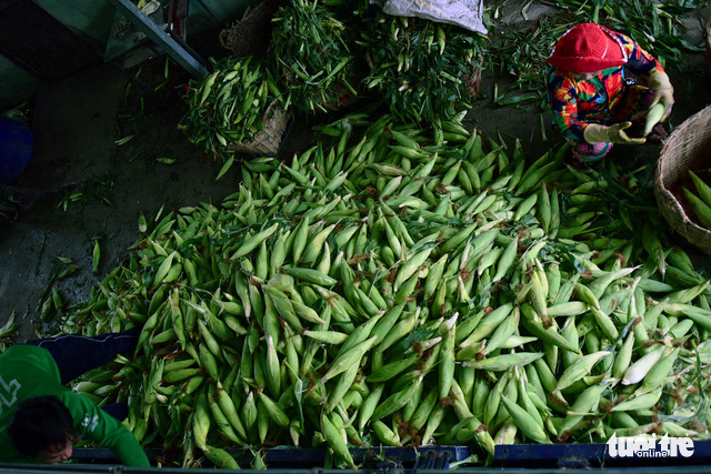 Major booths at the market source two or three ten-ton trucks of corn every day.