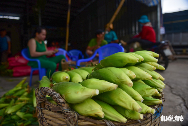 U.S. corn is the most expensive at the market, fetching VND3,500 apiece.