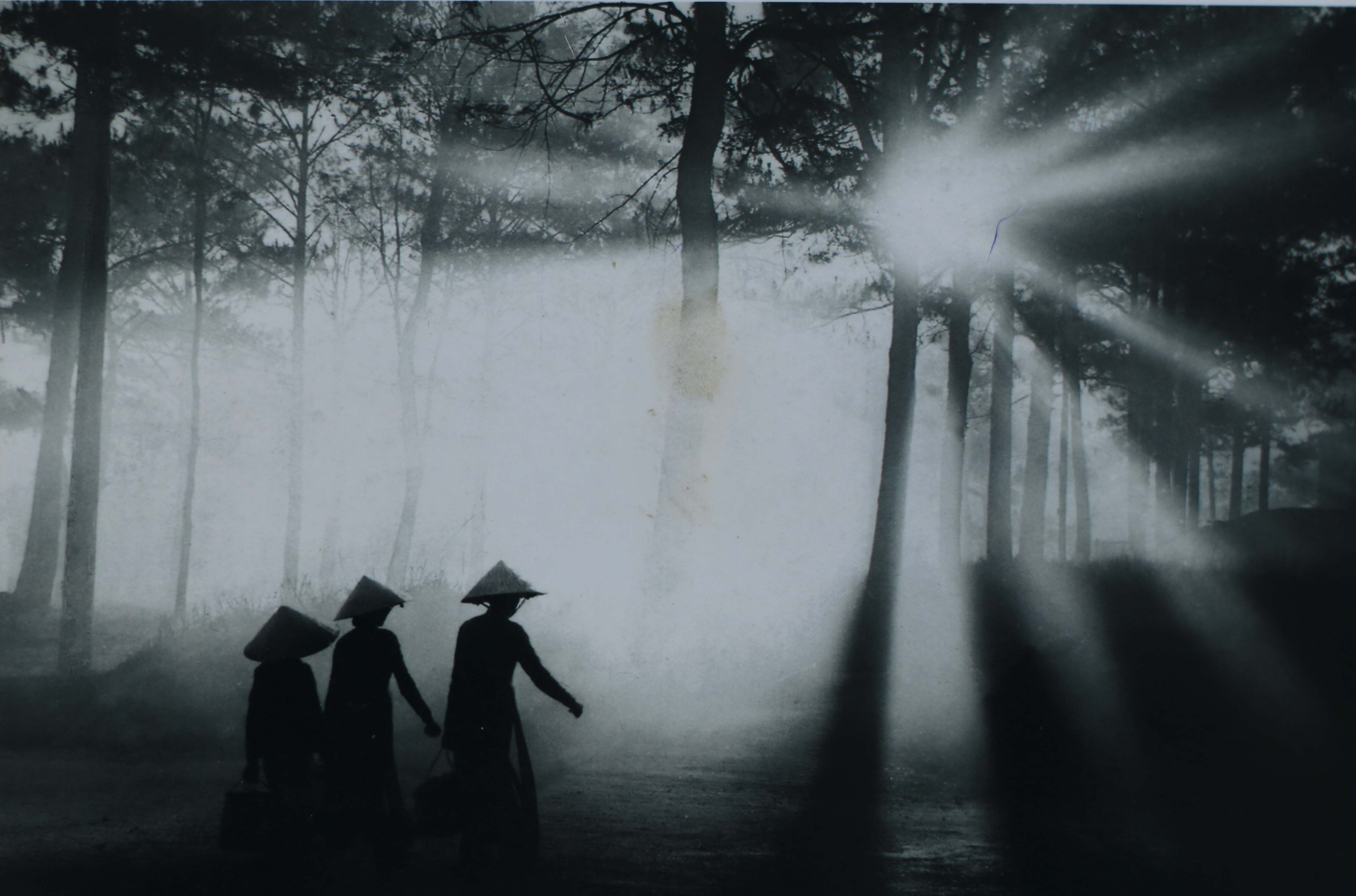 Women walk in a forest in Da Lat, Vietnam. Photo: Dang Van Thong