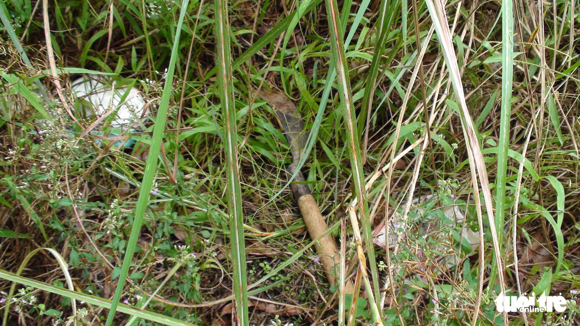 The machete Le Tan Tu left at the scene of the incident. Photo: Tuoi Tre