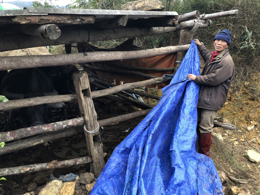 Hoang Phu Sinh puts extra layers of insulation on his cowshed in Mau Son Commune, Lang Son Province. Photo: Tuoi Tre
