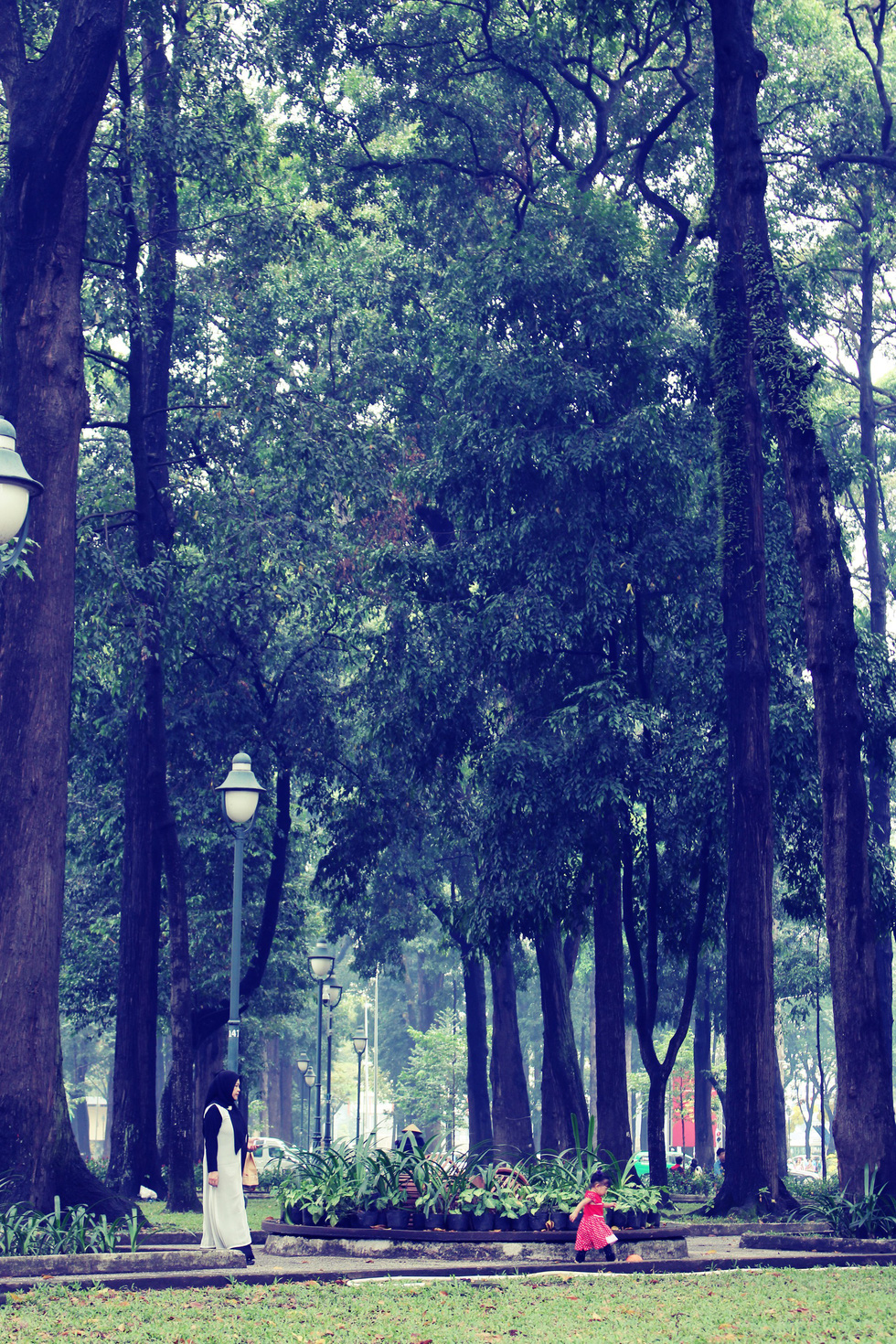People enjoy their leisure time under the shade at 30/4 Park in District 1.