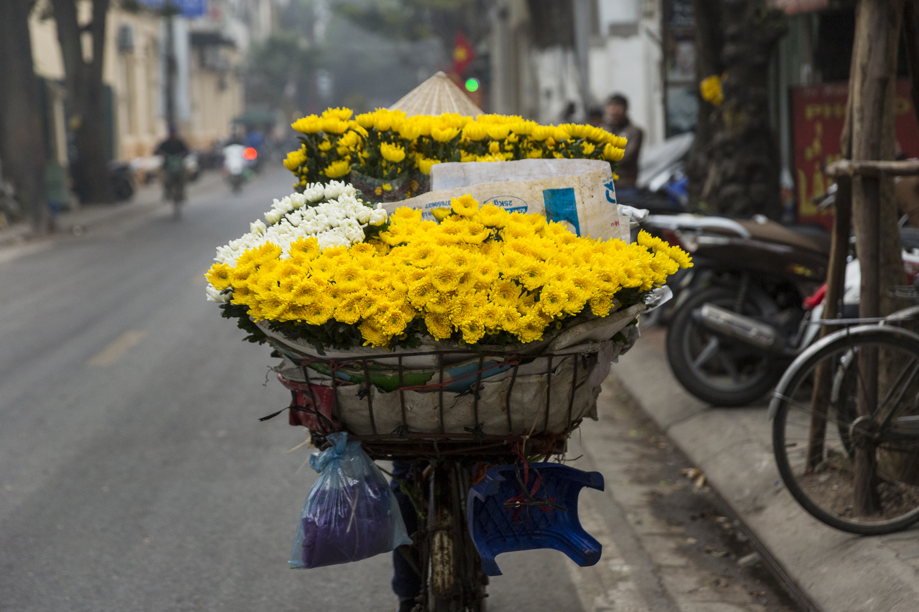 Tet Flower Seller. Photo: Neil Featherstone