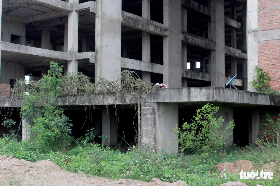 Weeds grow near the basement of the unfinished hospital in Nam Dinh Province, Vietnam. Photo: Tuoi Tre