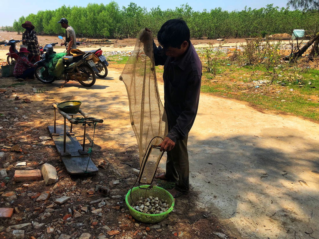 A man collects clams. Photo: Tuoi Tre