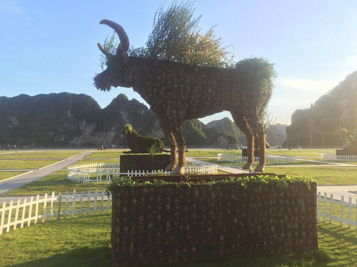 Weeds cover the buffalo statue in October 30 square in Ha Long City.