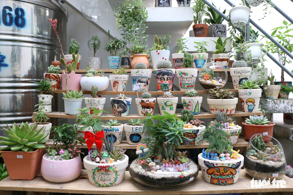 Desk plants sold at Joy Garden. Photo: Tuoi Tre