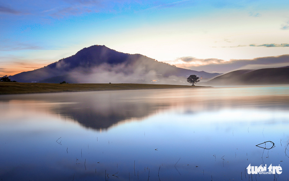 Da Lat’s famous ‘lonely pine’ standing near Suoi Vang Lake. Photo: Tuoi Tre