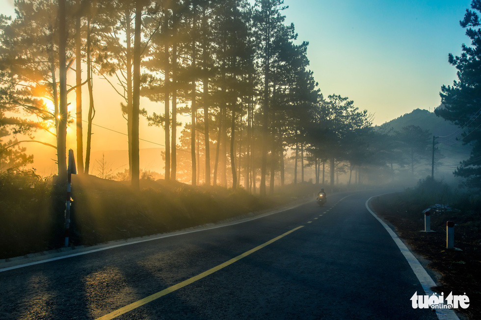 A road in Da Lat is covered in fog in the early morning hours. Photo: Tuoi Tre