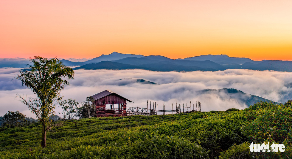 A place nicknamed ‘San May’ (Cloud Hunt) in Da Lat, where visitors can observe clouds flowing under their feet. Photo: Tuoi Tre