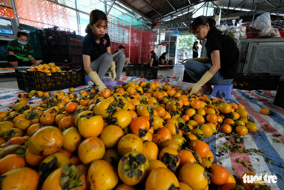The fruit is selected to guarantee the best quality. Photo: Tuoi Tre