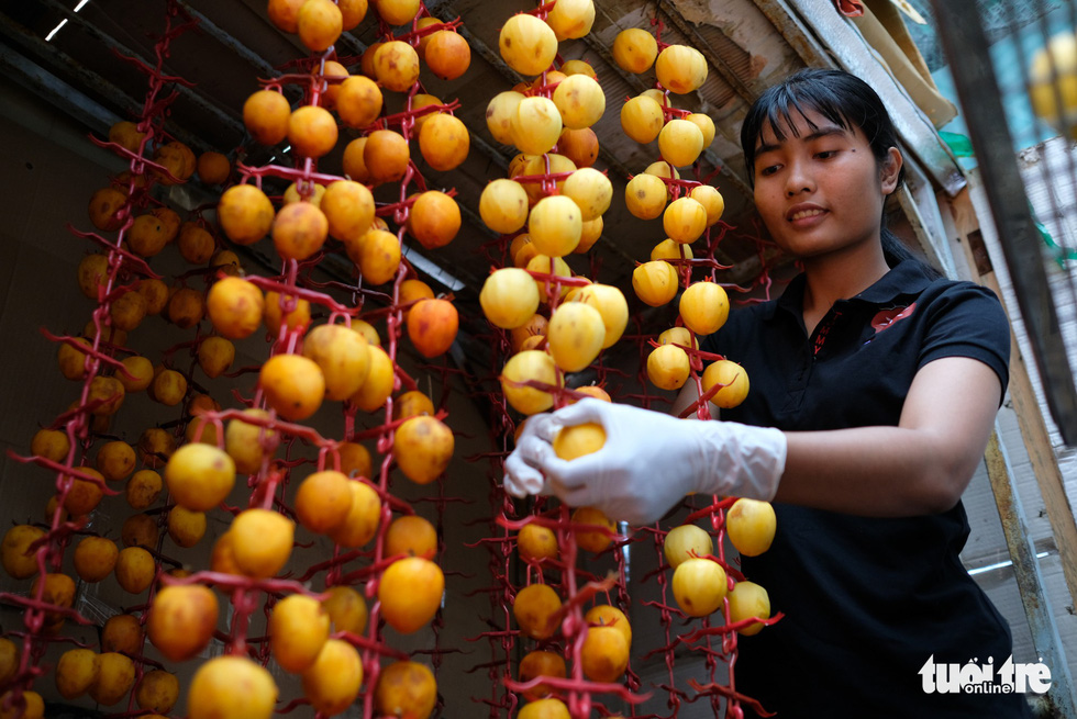 The persimmons are hung on plastic hangers. Photo: Tuoi Tre
