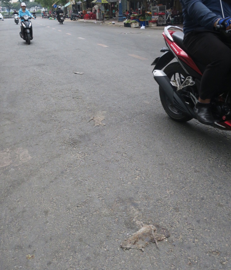 Bodies of dead mice are crushed after being thrown on the driveway at a market in District 4.