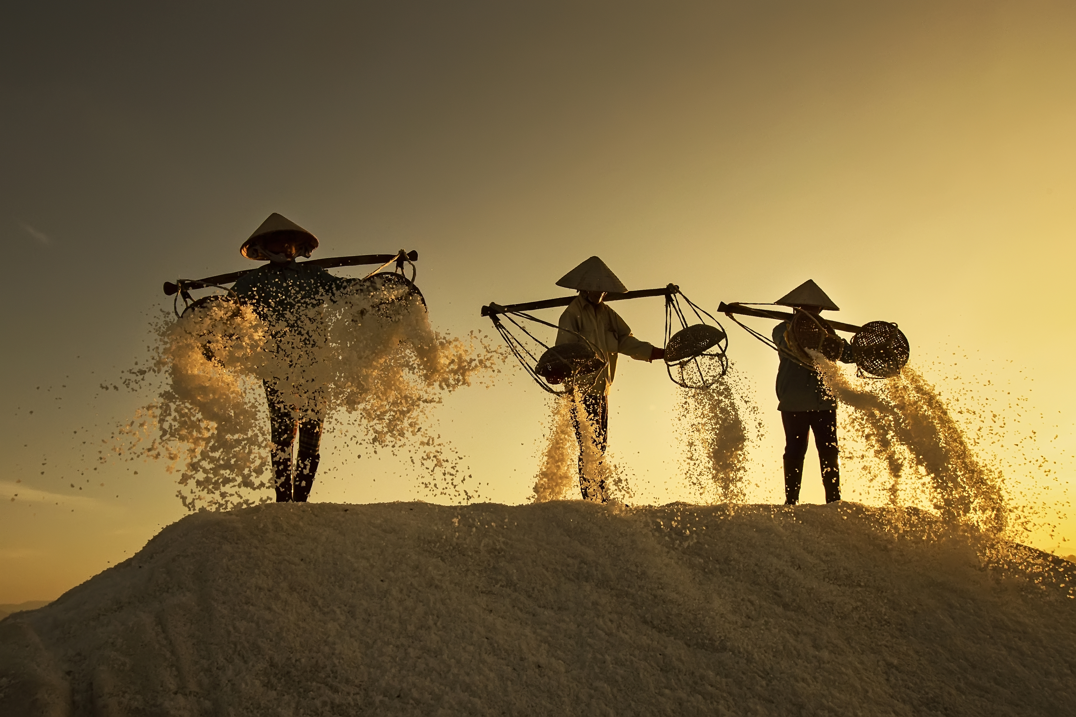 This photo capturing salt workers in Vietnam by Nese Ari was featured on The Daily Telegraph