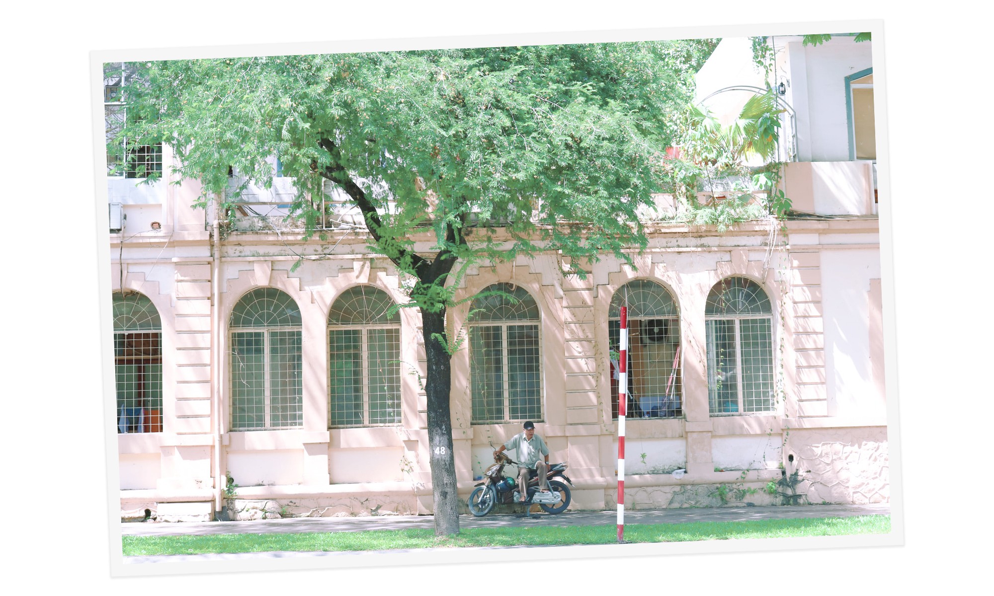 A motorbike taxi driver sits in the shade of a tamarind on a street in Ho Chi Minh City, Vietnam. Photo: Tuoi Tre