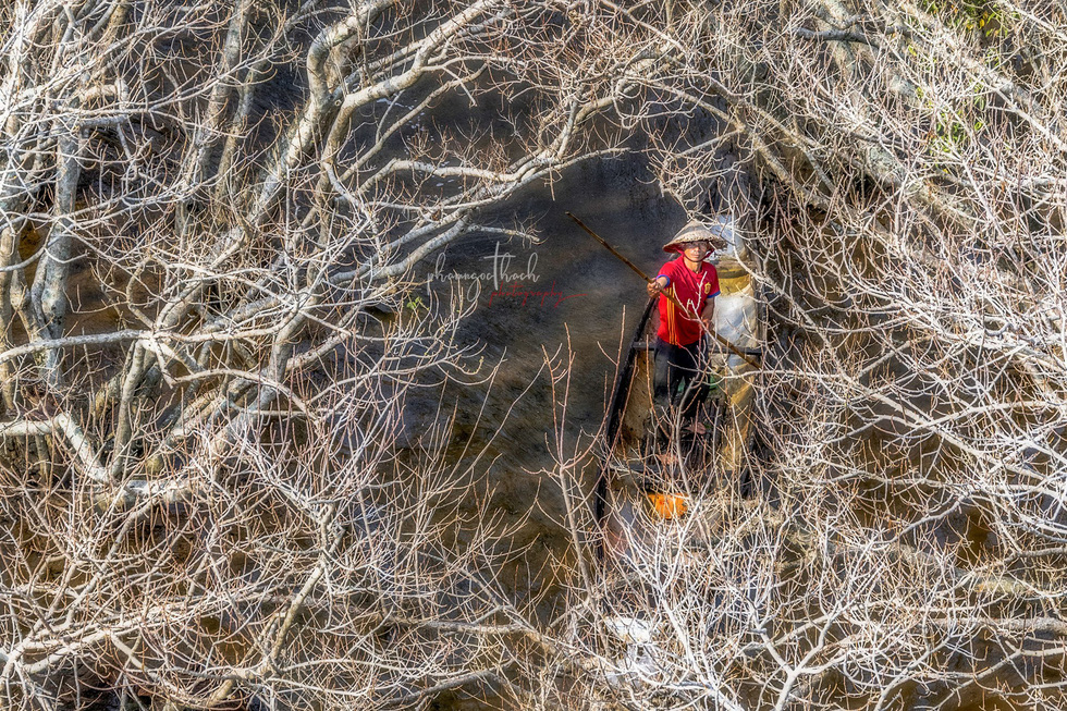 A man moves a boat on the waters of the Ru Cha Forest in Thua Thien-Hue Province, central Vietnam. Photo: Pham Ngoc Thach
