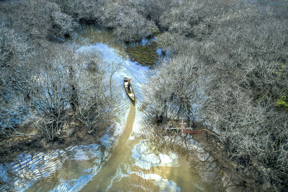A boat floats amidst the Ru Cha Forest in Thua Thien-Hue Province, central Vietnam. Photo: Pham Ngoc Thach