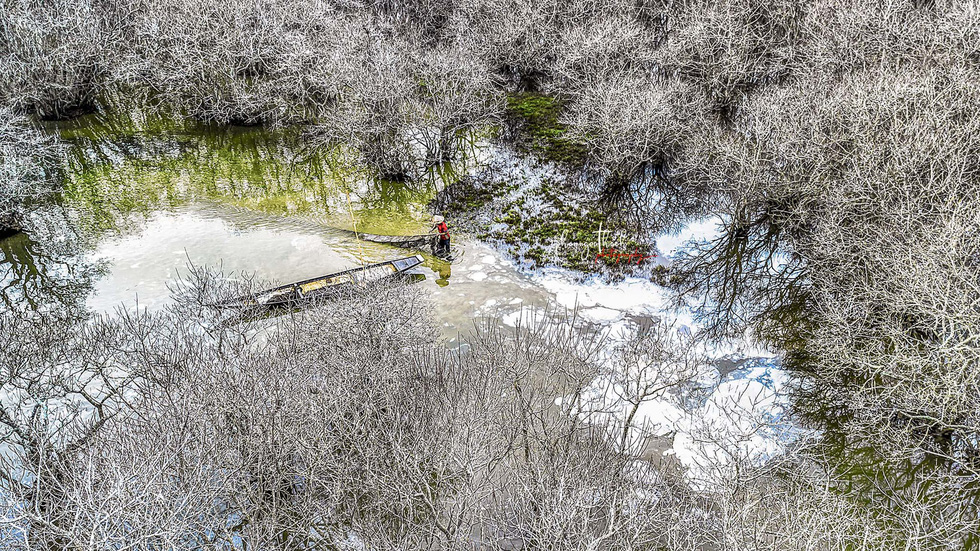 A boat moves amidst the Ru Cha Forest in Thua Thien-Hue Province, central Vietnam. Photo: Pham Ngoc Thach