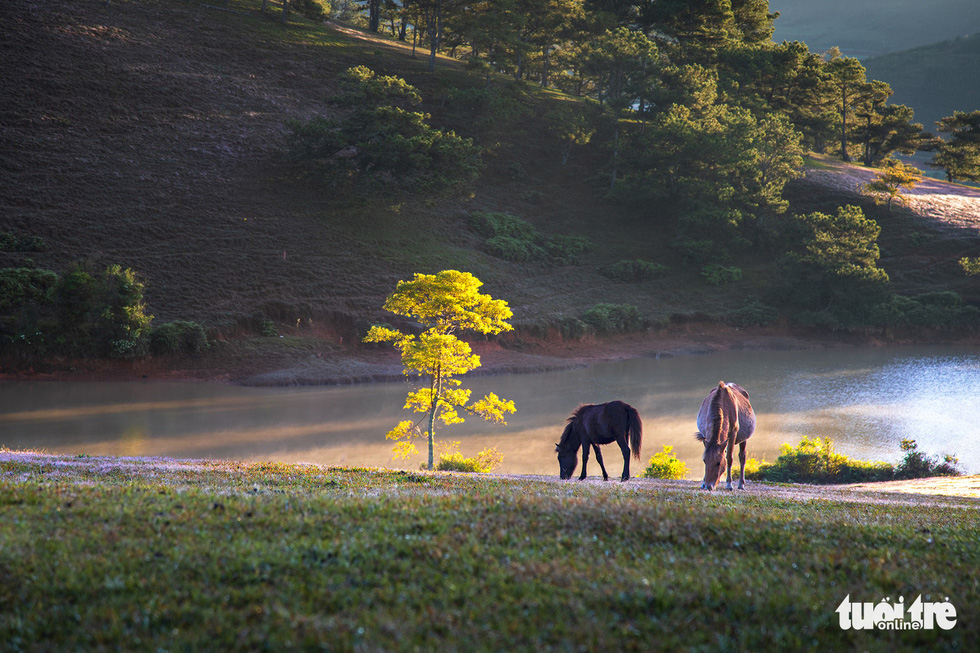Photo: Nguyen Khanh Hoang