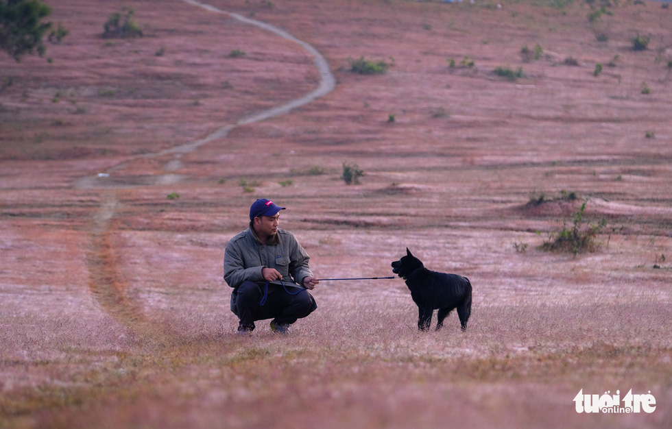 Photo: Mai Vinh / Tuoi Tre