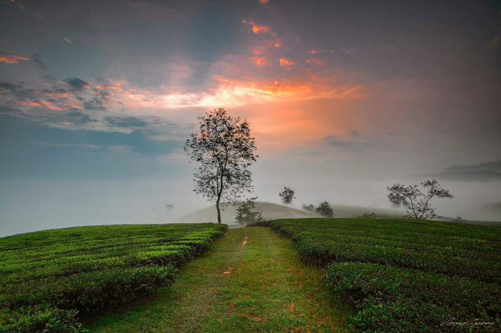  Photo: Pham Hoang Cuong