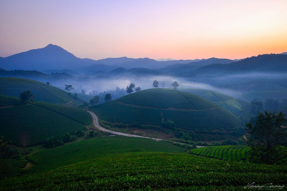  Photo: Pham Hoang Cuong