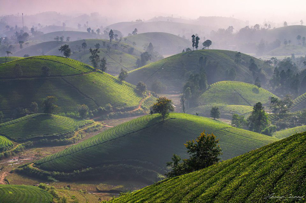  Photo: Pham Hoang Cuong