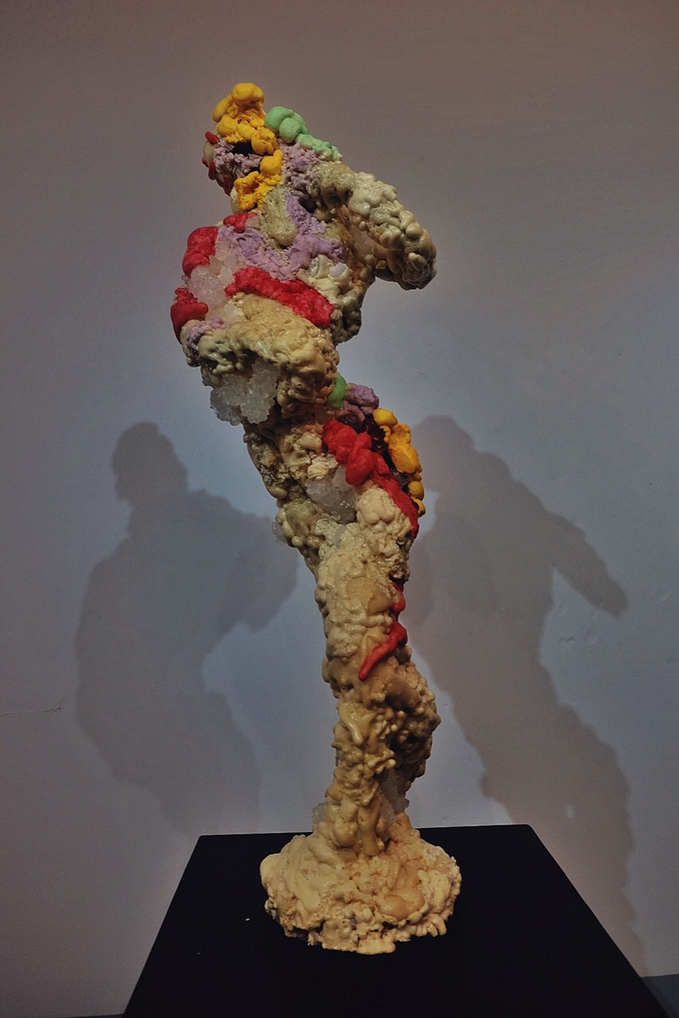 Do Ha Hoai’s Allergy at an exhibition in Ho Chi Minh City, Vietnam, December 2018. Photo: Tuoi Tre