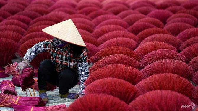 This picture taken on January 3, 2019 shows a Vietnamese woman collecting dried incense sticks in a courtyard in the village of Quang Phu Cau on the outskirts of Hanoi. Photo: AFP