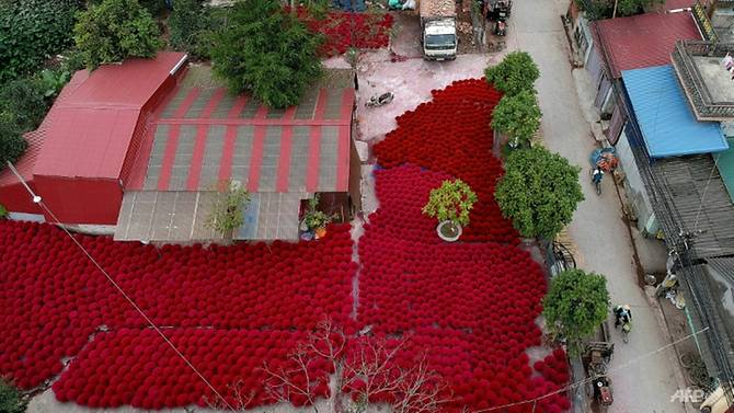 Incense sticks are kept in a courtyard for drying in the village of Quang Phu Cau on the outskirts of Hanoi. Photo: AFP