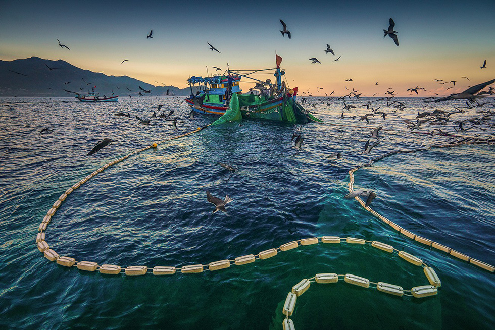 Nets are retrieved at dawn. Photo: TRAN BAO HOA