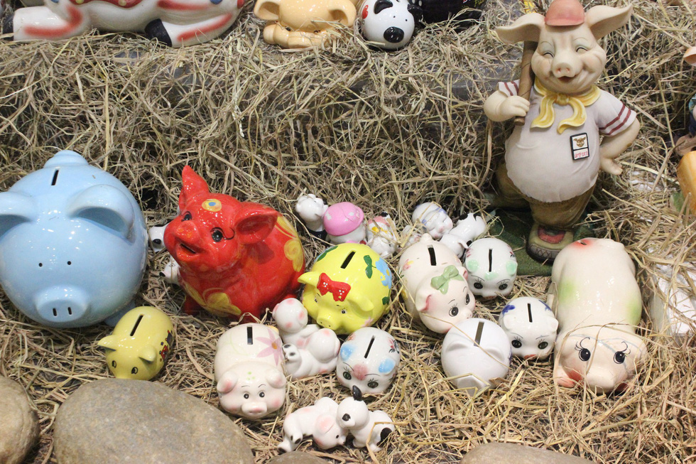 Feeding piggy banks! Photo: Thien Dieu / Tuoi Tre