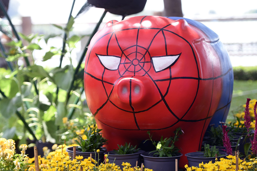 'Spider-pig'. Photo: A Loc / Tuoi Tre