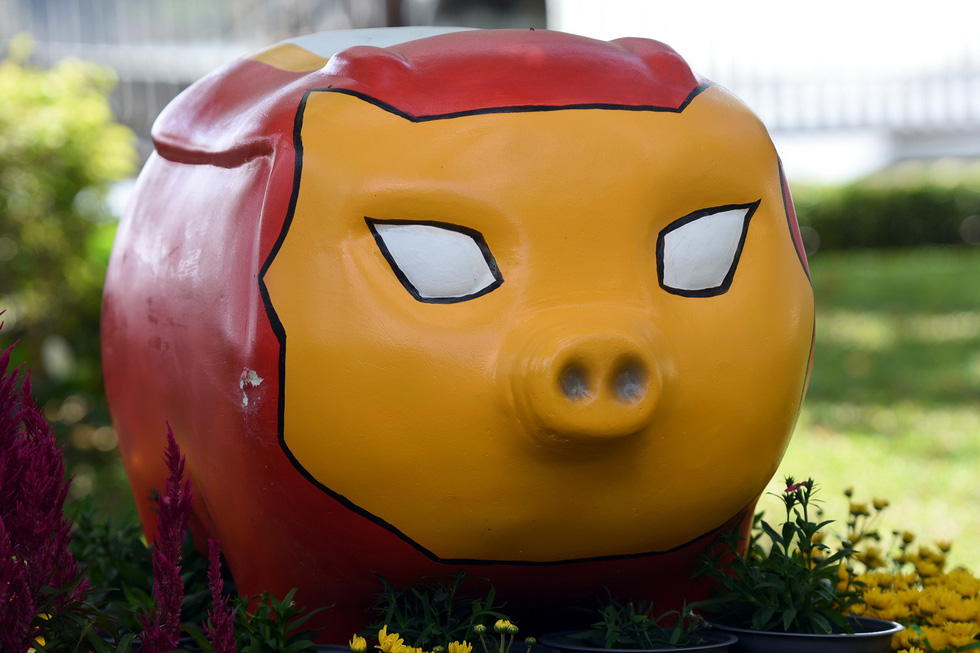'Iron Pig'. Photo: A Loc / Tuoi Tre